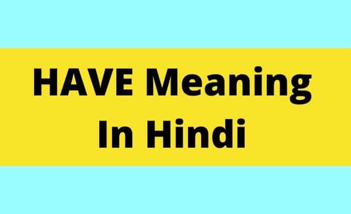have meaning in hindi