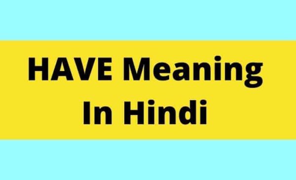 have-meaning-in-hindi-definition-and-hindi-meaning-of-have-indian